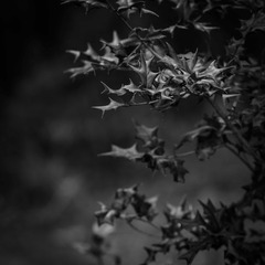 E699E925-909F-4B21-AAA2-F9C1DB9C4328/L0/001