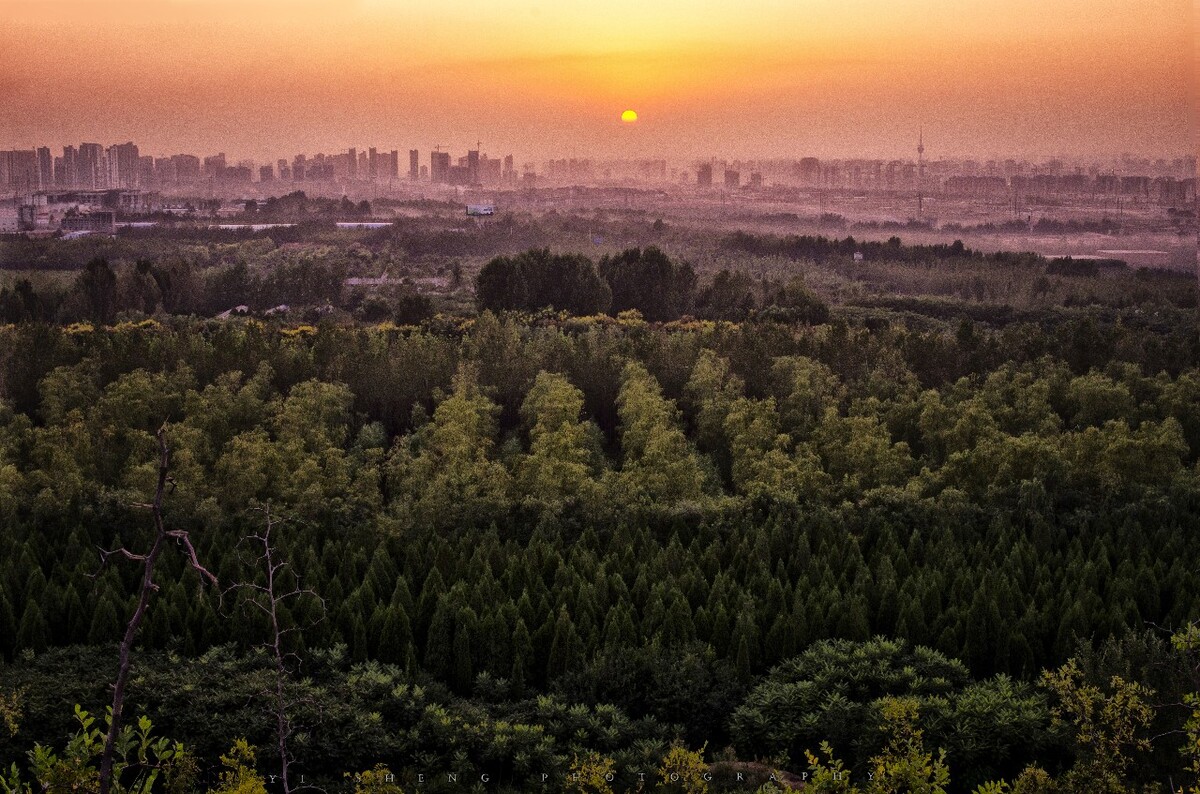 杜陵