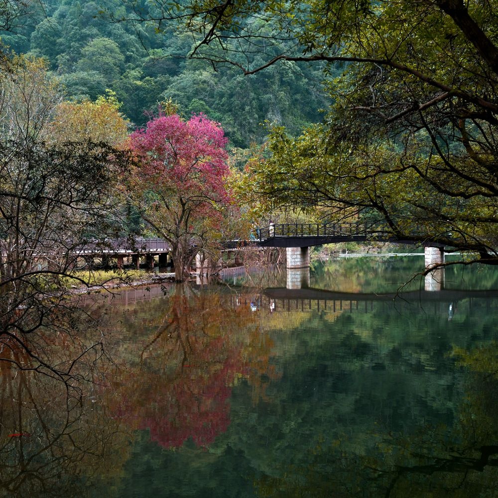 斑斓秋色2021年10月24日摄于浙江绍兴诸暨浣江61五泄国家森林公园