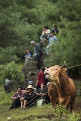 候场选手