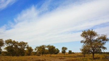 DSC03028-3