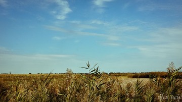 DSC03150-3-3