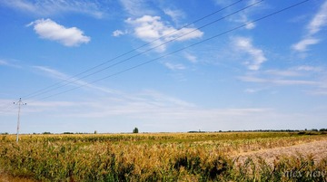 DSC03154-3-2