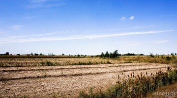 DSC03158-3