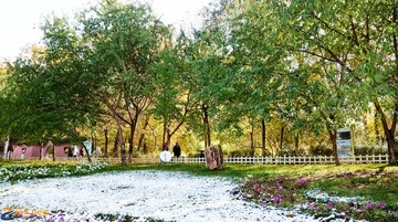 DSC04038-3