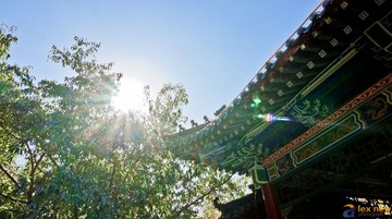 DSC04154-3