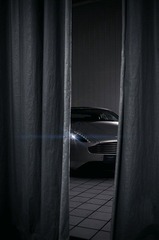 DSC_5156x.jpg