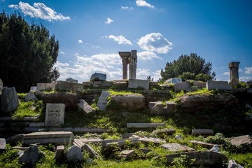DSC_7431.jpg