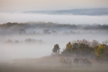 DSC_7431.jpg