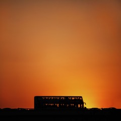 DSC_8502.jpg