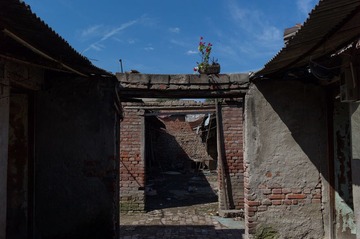 L1000794_缩小大小