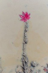 秋天的泥水沟_09_调整大小