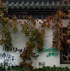 L1001337_缩小大小