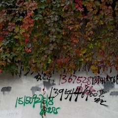 L1001344_缩小大小