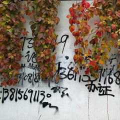 L1001365 hb11 hb11