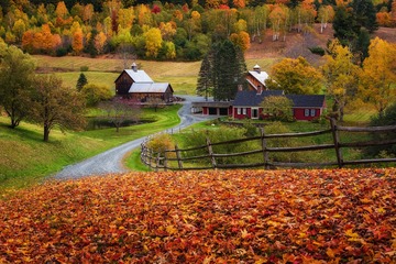 Fall in Vermont