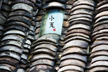 IMG_4612.1