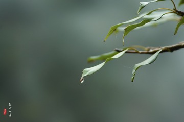 IMGP6491-2