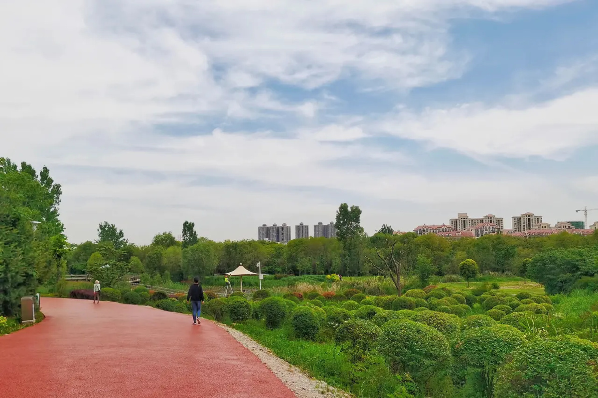 西安灞桥生态湿地公园