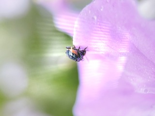 265A2ADB-D08C-4BAA-A0C8-5FE177E6D30B/L0/001