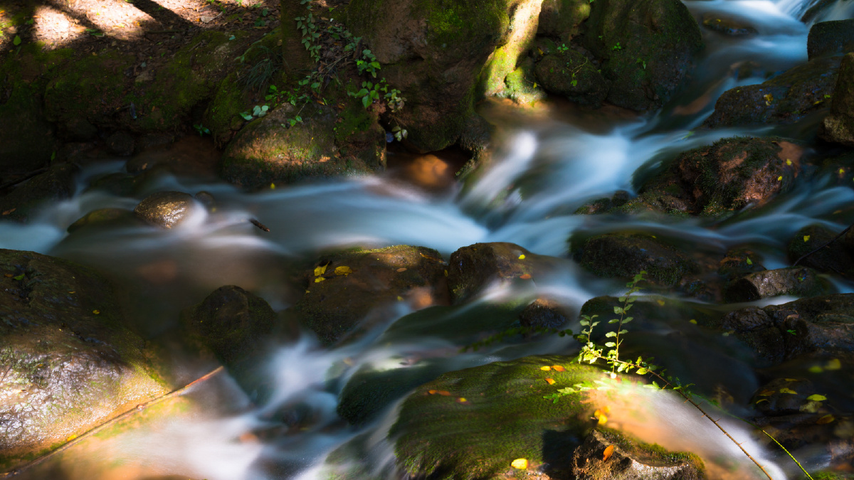 玉溪白龙潭清泉石上流