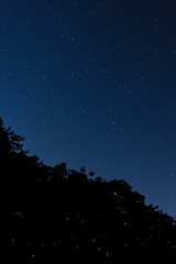 1308364