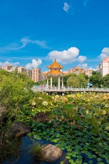 P1000649