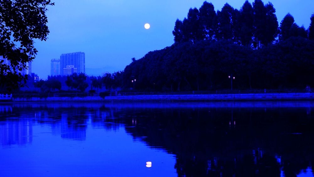 鹭约鸥盟筼筜夜-----厦门一景筼筜渔火