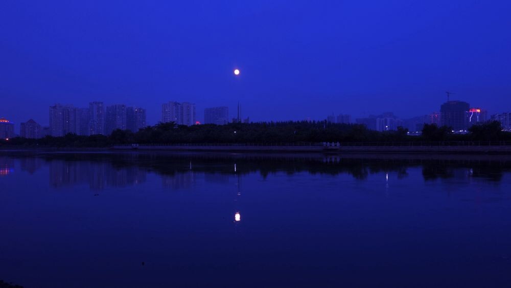 鹭约鸥盟筼筜夜-----厦门一景筼筜渔火
