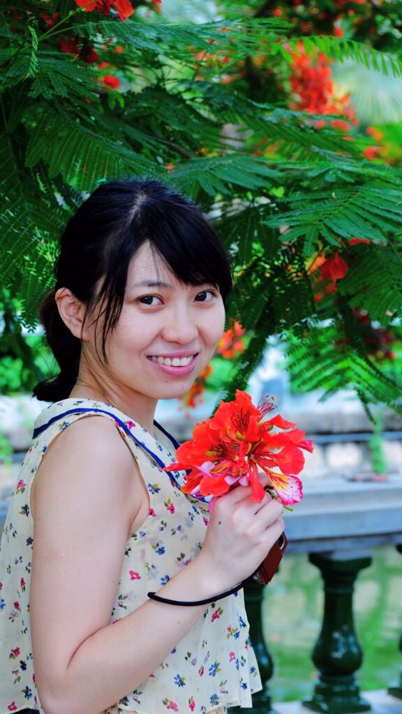 青春红似凤凰花