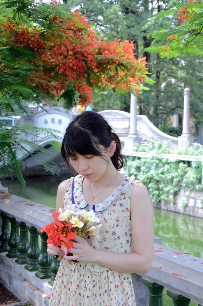 青春红似凤凰花