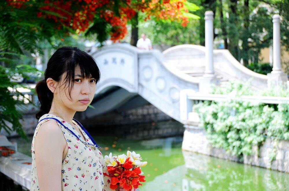 青春红似凤凰花