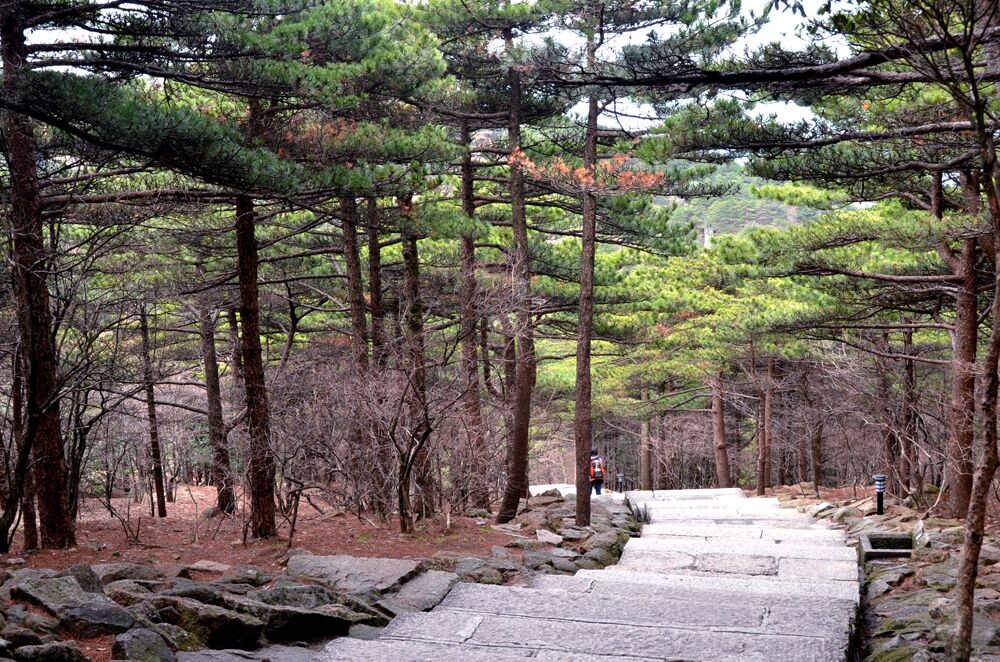 云伴山如画——安徽黄山