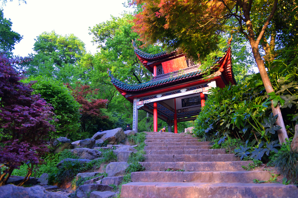 枫叶如丹照晚亭