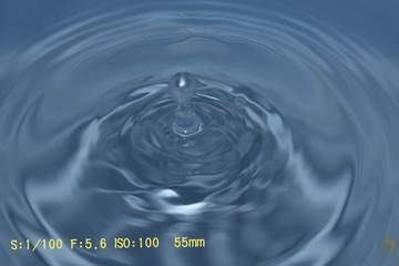 1002862