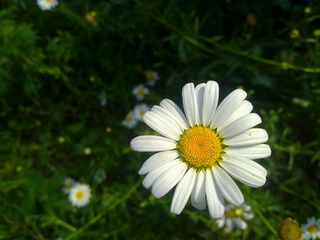 20130602049_
