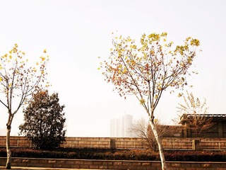 DSCN6902_