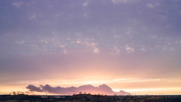 SDIM2813