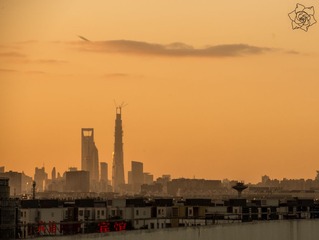 DSC_3839__