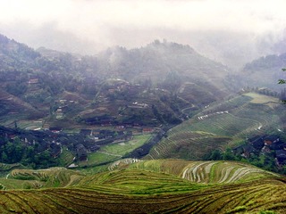 yuanlan