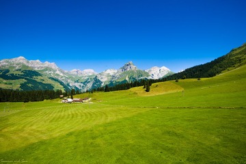 _DSC5450