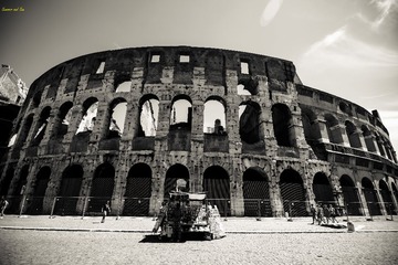 _DSC3494
