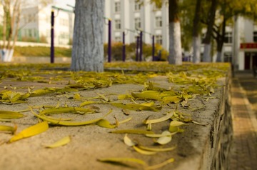 DSC_0722-1