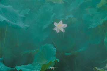 001