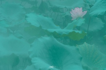 001