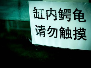 _5160865