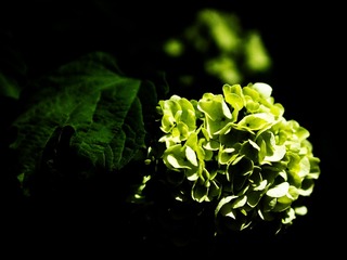 _4150467
