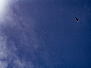 _4150508