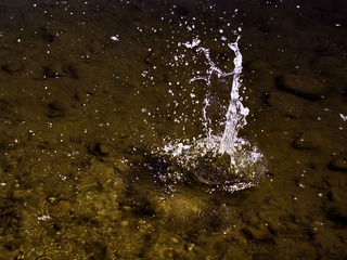 _4150454