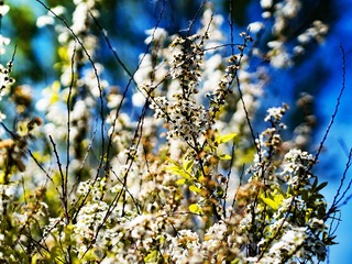 _4150425